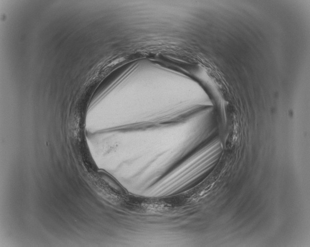 X0000081570693200702051214