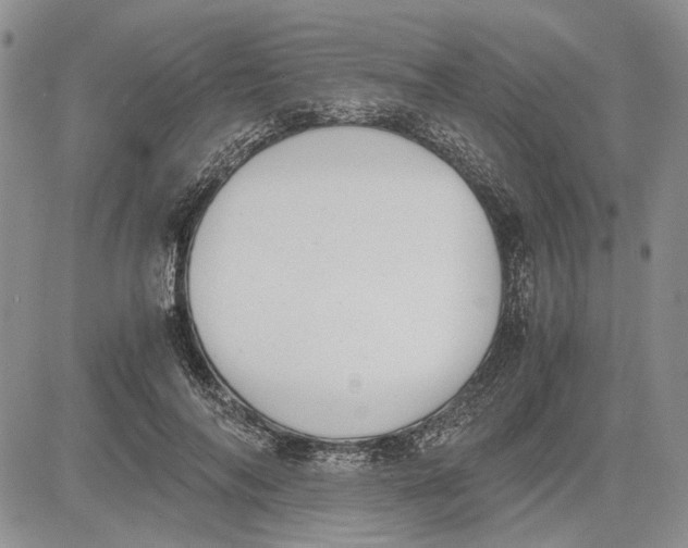 X0000081570694200702051214