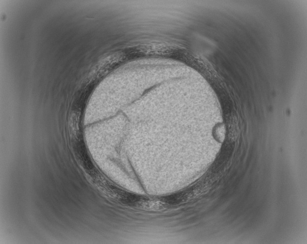 X0000081570695200702051214