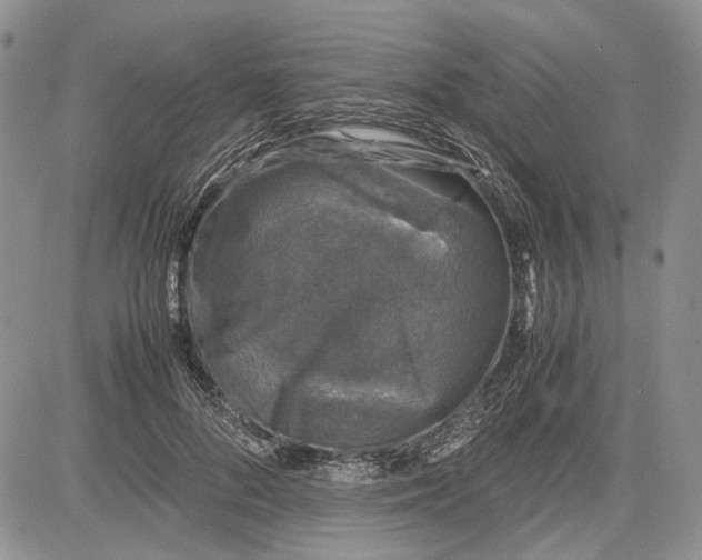 X0000081570696200702051214