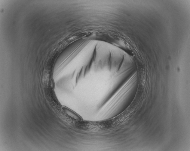 X0000081570697200702051214