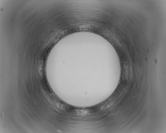 X0000081570698200702051214