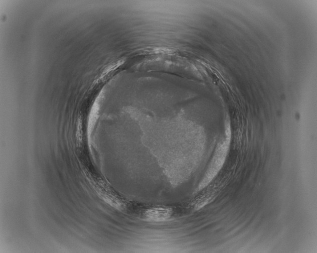 X0000081570700200702051214