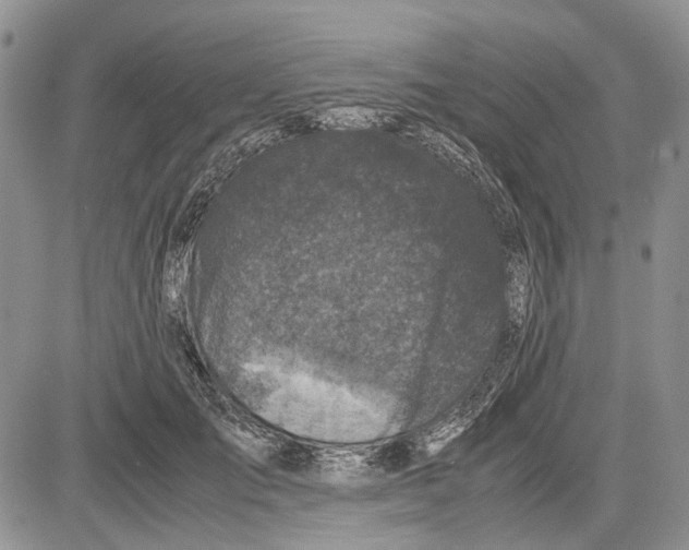 X0000081570701200702051214