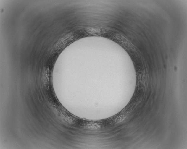 X0000081570702200702051214