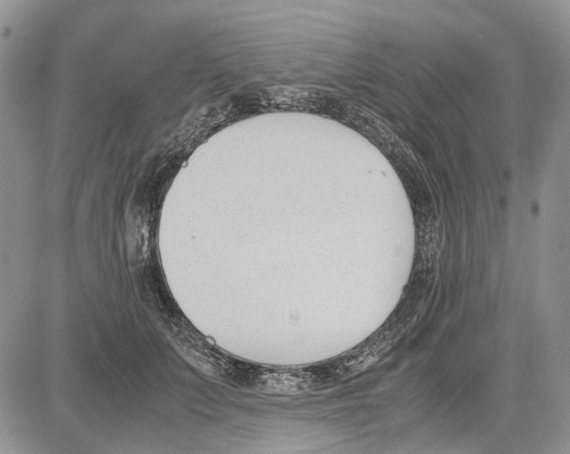 X0000081570703200702051214