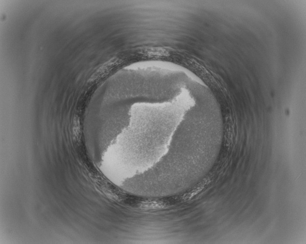 X0000081570704200702051214