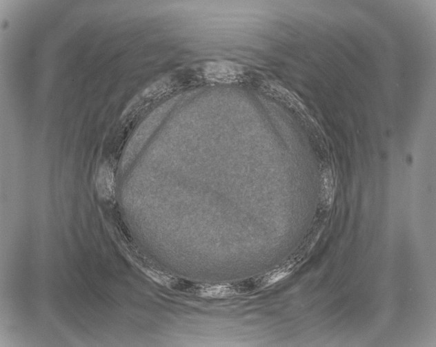 X0000081570705200702051214