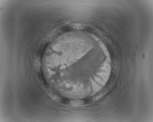 X0000081570707200702051214