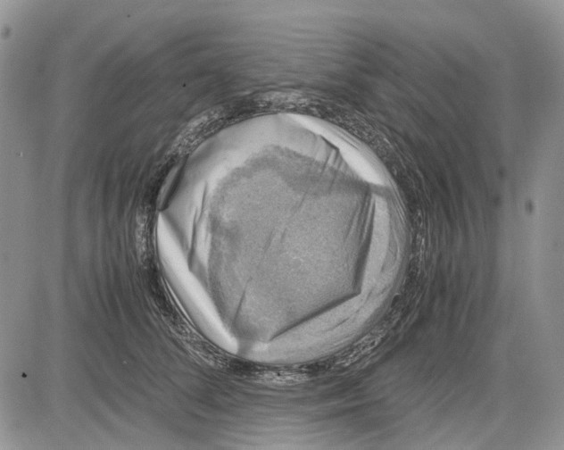 X0000081570708200702051214