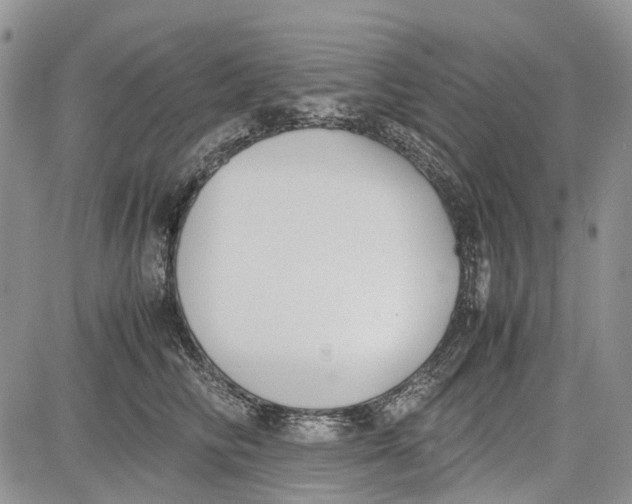 X0000081570710200702051214