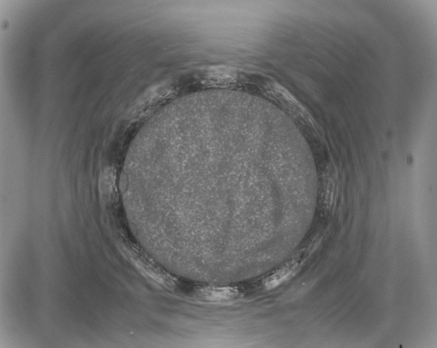 X0000081570711200702051214