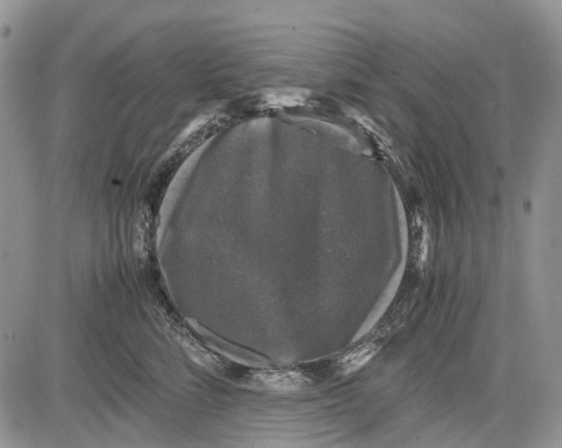 X0000081570712200702051214