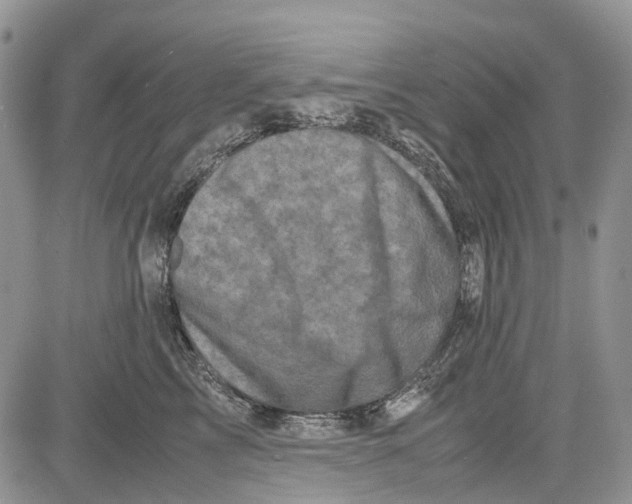 X0000081570713200702051214