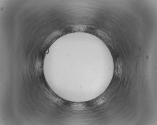 X0000081570714200702051214