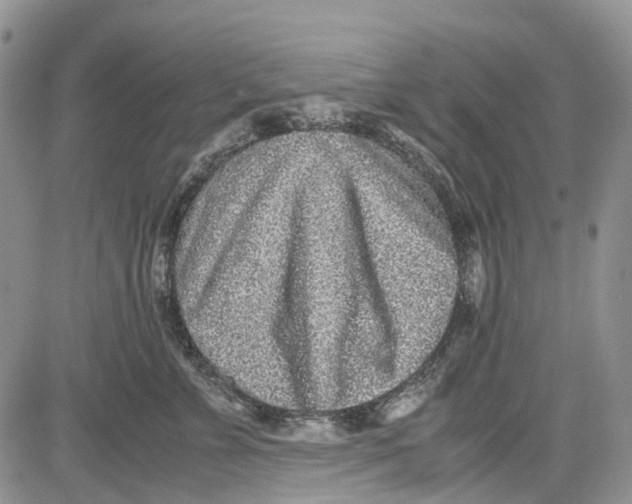 X0000081570715200702051214