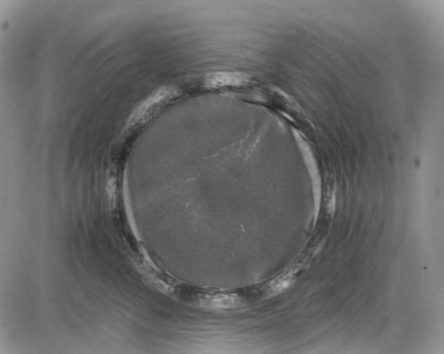 X0000081570716200702051214