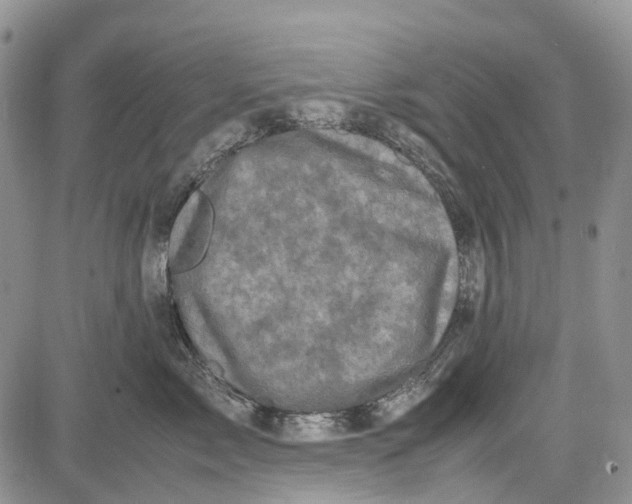 X0000081570717200702051214