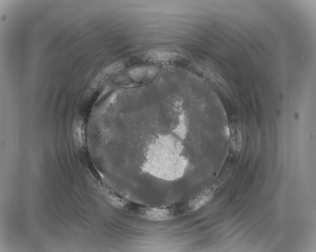 X0000081570718200702051214