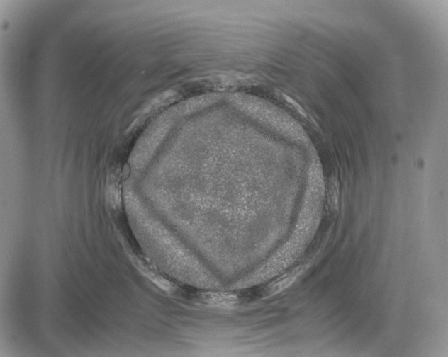 X0000081570719200702051214