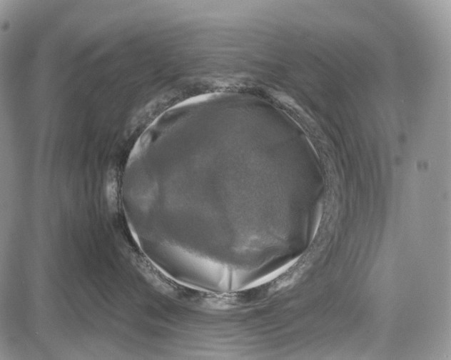 X0000081570720200702051214