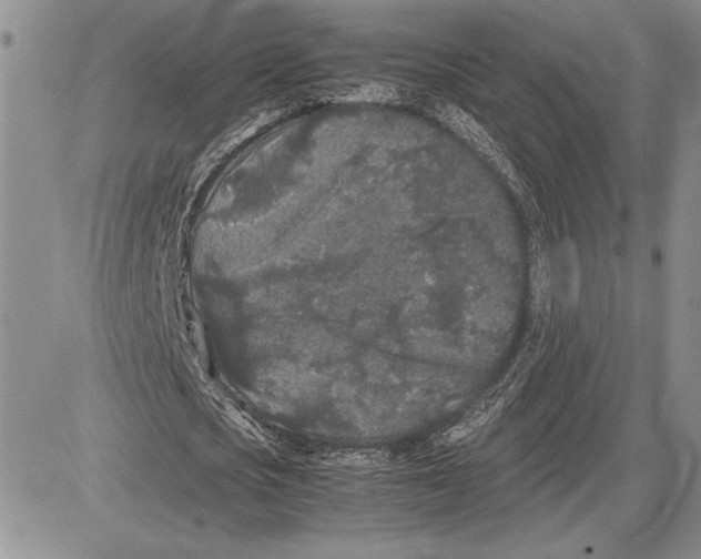 X0000081570721200702051213