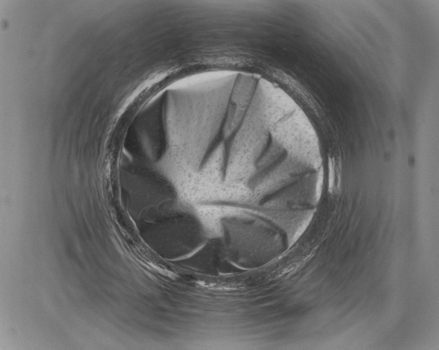 X0000081570723200702051213