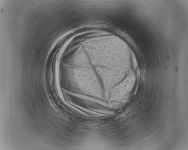 X0000081570724200702051213