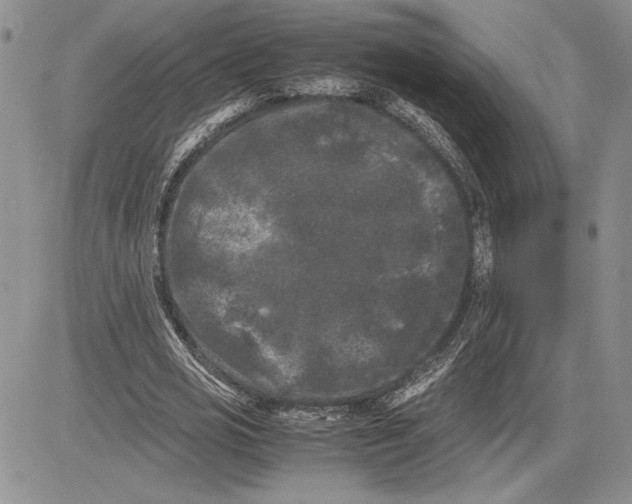 X0000081570725200702051213