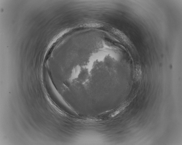 X0000081570726200702051213