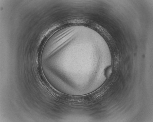 X0000081570727200702051213