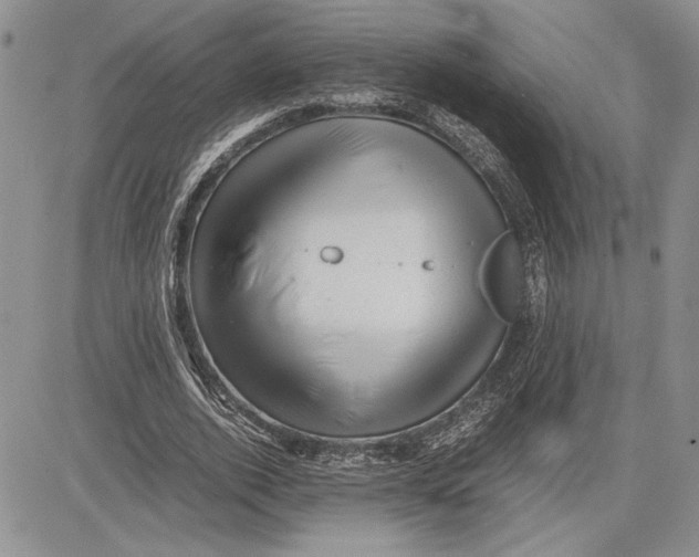 X0000081570728200702051213