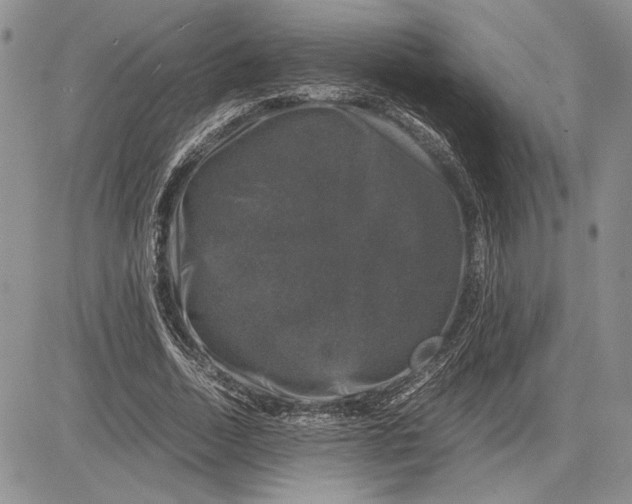 X0000081570730200702051213