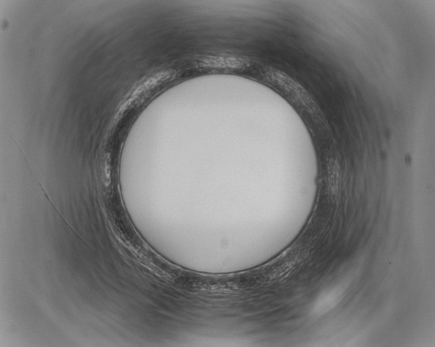 X0000081570731200702051213