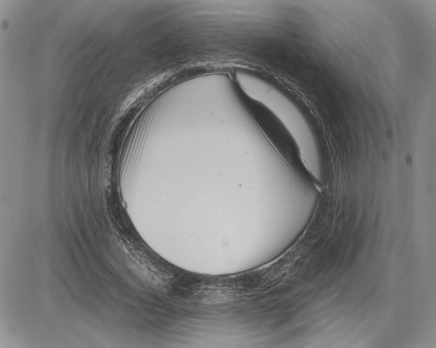 X0000081570732200702051213