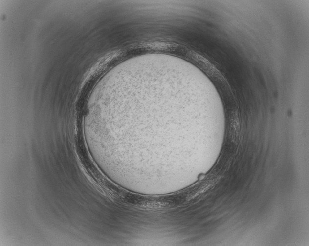 X0000081570734200702051213