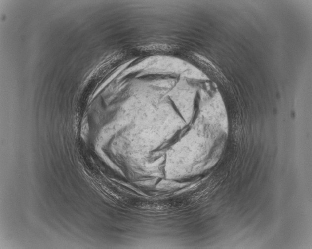 X0000081570735200702051213