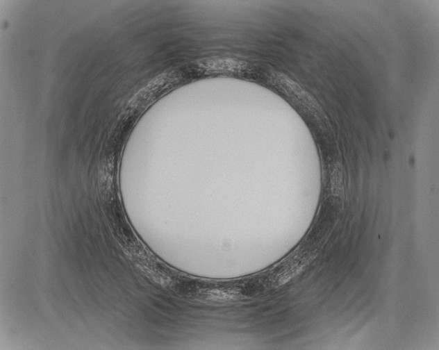 X0000081570737200702051213