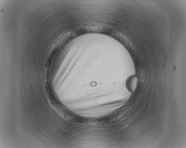 X0000081570738200702051213