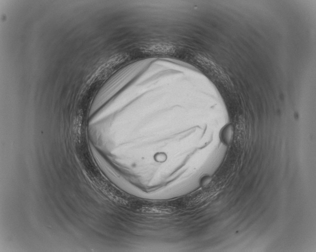 X0000081570739200702051214