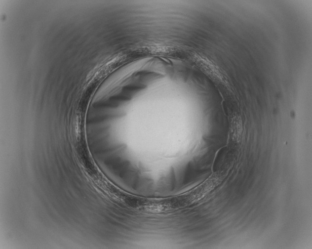 X0000081570740200702051214