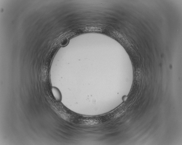 X0000081570741200702051214