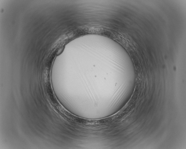 X0000081570744200702051214