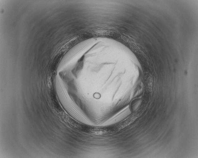 X0000081570746200702051214