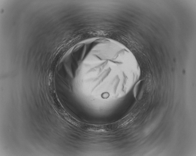 X0000081570747200702051214