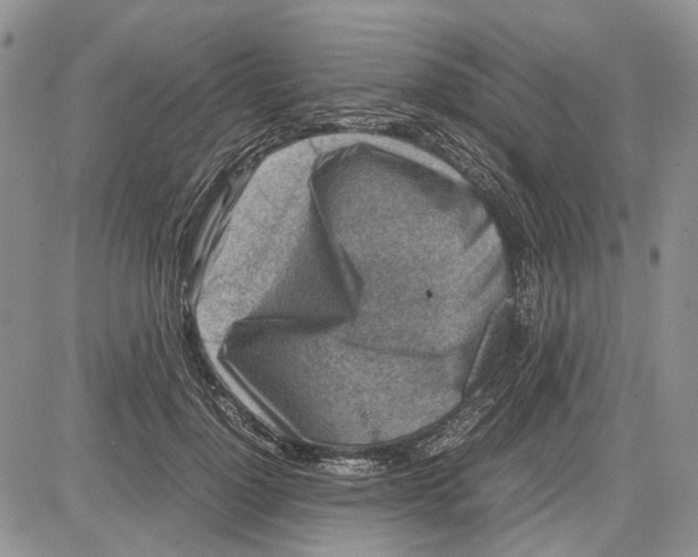 X0000081570748200702051214