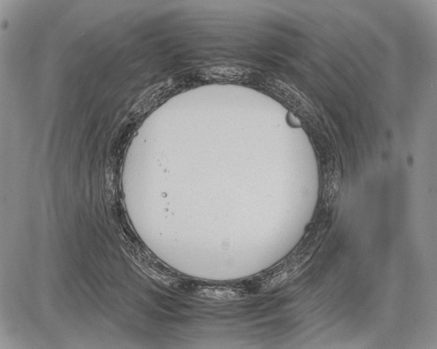 X0000081570749200702051214