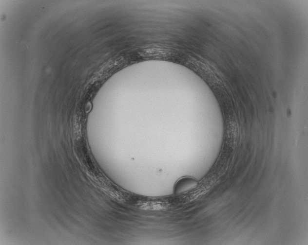 X0000081570751200702051214