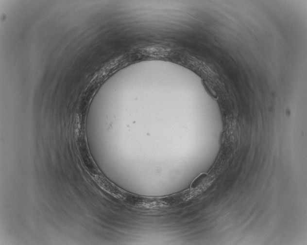 X0000081570752200702051214