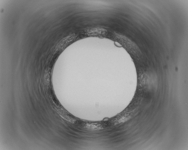 X0000081570753200702051214